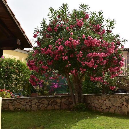 Splendida Villetta Tavolara 1 Vaccileddi Kültér fotó