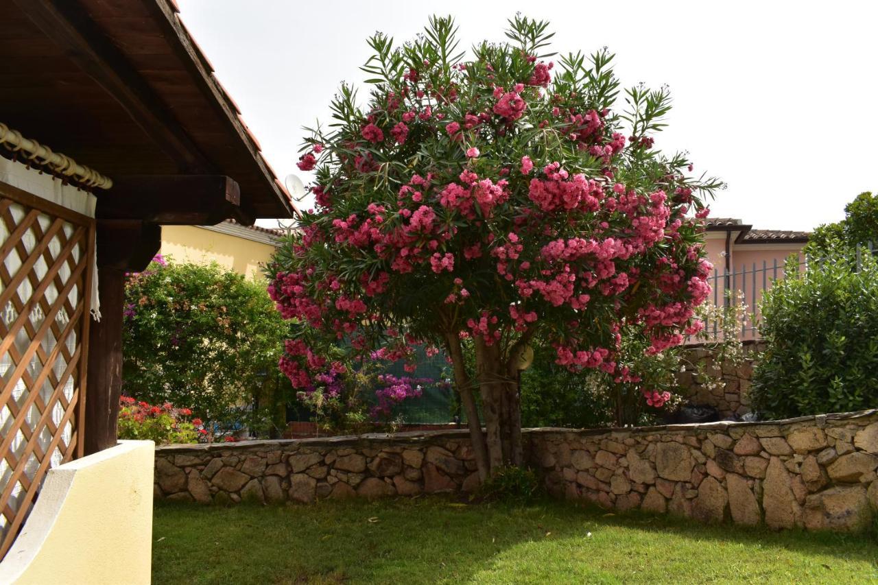 Splendida Villetta Tavolara 1 Vaccileddi Kültér fotó